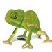 Deco Glass Alejandro Wall Decor