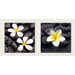 Deco Glass Jasmine Wall Decor (Set of 2)