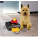 Gamble Box Dog Activity Game