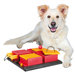 Poker Box Dog Activity Game
