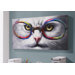 Gato Gafas Acrylic