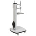 Mobile 31" Plasma LCD Stand