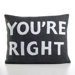 "You're Right" Decorative Pillow