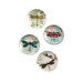 Dragonflies Magnets (Set of 4)