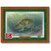Miller High Life Walleye Reflective Wall Mirror