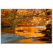 Fluidity by Philippe Sainte-Laudy, Canvas Art - 22" x 32"
