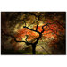 Japanese by Philippe Sainte-Laudy, Canvas Art - 30" x 47"
