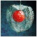 Passion of Love by Philippe Sainte-Laudy, Canvas Art - 24" x 24"