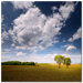 Rebel Sun by Philippe Sainte-Laudy, Canvas Art - 24" x 24"