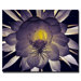 Floral Contrast by Kurt Shaffer, Canvas Art - 24" x 36"