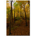 Ohio Autumn by Kurt Shaffer, Canvas Art - 24" x 16"