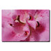 Lily Abstract by Kurt Shaffer, Canvas Art - 18" x 24"