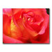 Empowering Heart by Monica Fleet, Canvas Art - 18" x 24"