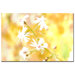 Flowers by Tammy Davison, Canvas Art - 16" x 24"