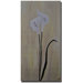 Calla Pair by Nicole Dietz, Canvas Art - 32" x 16"