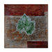 Rusty Leaf by Nicole Dietz, Canvas Art - 14" x 14"