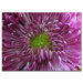 Pink Flower by Patty Tuggle, Canvas Art - 14" x 19"