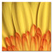 Flame by Aiana, Canvas Art - 24" x 24"