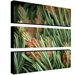 Pinion by Aiana Canvas Art (Set of 3)