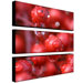 Red Rain by CATeyes Canvas Art (Set of 3)