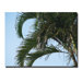 Blue Palm Sky by David Canvas Art