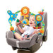 Musical Nature Car Seat Toy