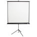 60" x 60" Projector Screen with Black Housing - 1:1 Format