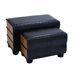Clever Book Shaped Trunk (Set of 2)