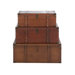 Handcrafted Wood and Leather Trunk (Set of 3)