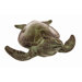 Sea Turtle Statue
