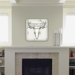 Wesley Bird Skull Wall Art