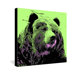Romi Vega Bear Gallery Wrapped Canvas
