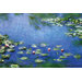 Water Lilies Canvas Art