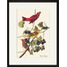 Summer Tanager Framed and Matted Print