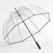 Clear Golf Bubble Umbrella