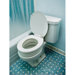 Standard Toilet Riser