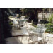 Caf&eacute; Topiary Stacking Chair
