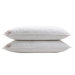 Gwen Down Pillow (Set of 2)
