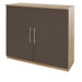 Lyon 2 Door Cupboard