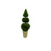 Boxwood Double Sphere and Cone Topiary