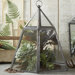 Take a Cover Hexagonal Plant Terrarium Cloche
