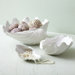 Watercolors Fluted Clam Shell Plate (Set of 3)