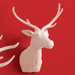 Deer Trophy Head