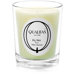 Beeswax Fig Tree Scented Candle
