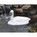 Floating Swan Decoy