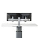 Dual Eyesite Display Support