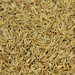 Overseeding Grass Seed Mix (25 lbs)