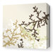 Coral Stretched Wall Art in Moss