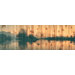 Still Lake Wall Art