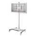 Mobile Flat Panel Endure 32" - 53" TV Stand